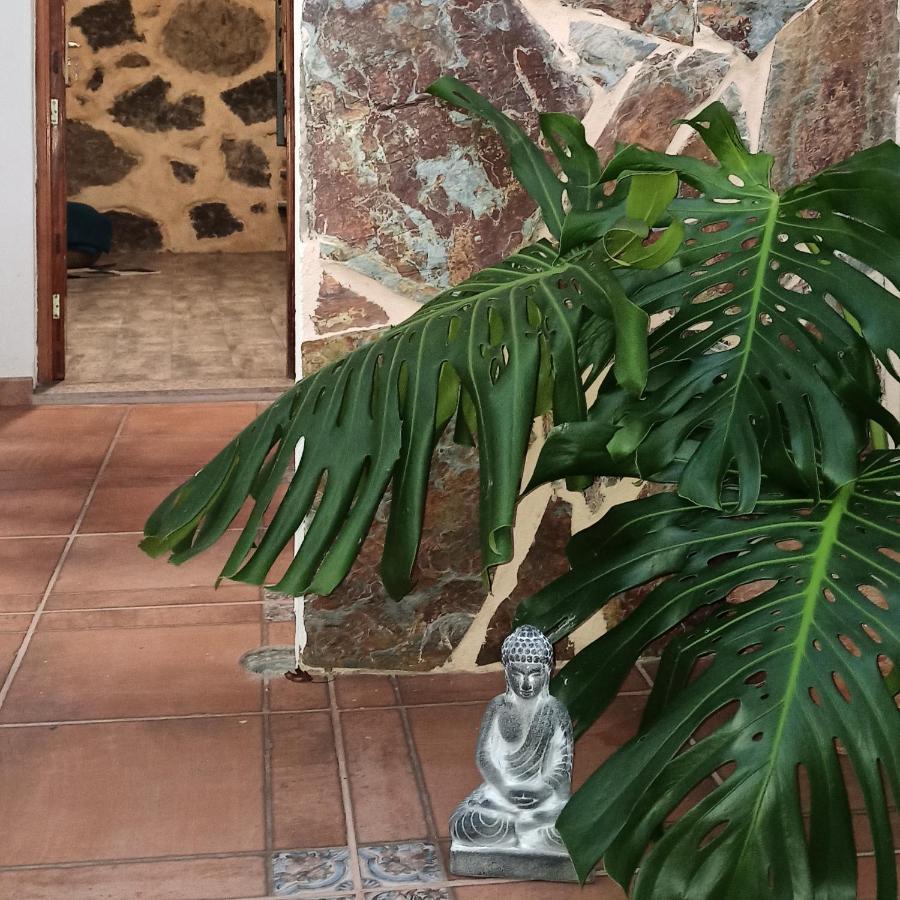 Casa Ada Hébergement de vacances *